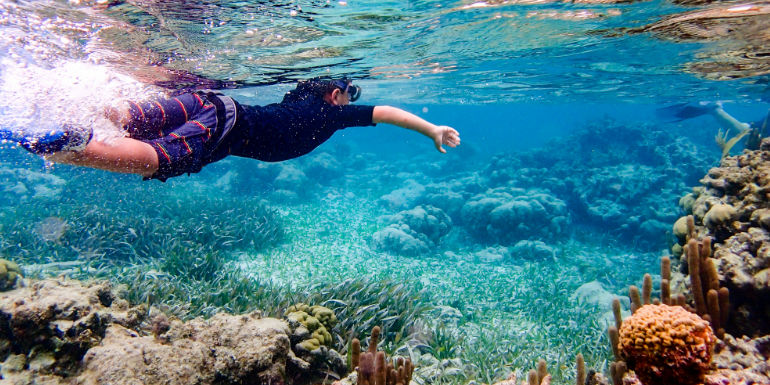 belize city caribbean snorkeling reef fish